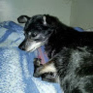 Meet your Posher, Ernest